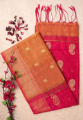 Red Grace Pure Handloom Cotton Silk Saree