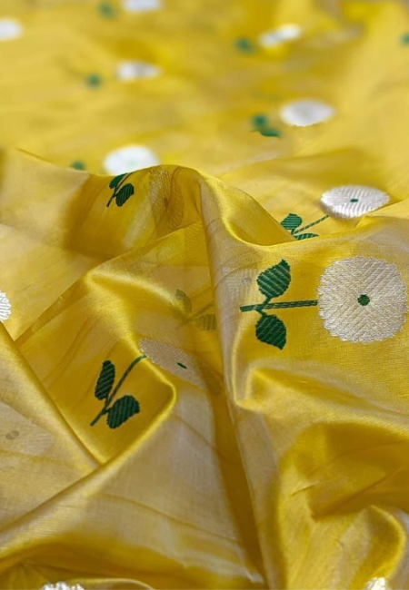 Chanderi Handwoven Pure Pattu Silk Saree
