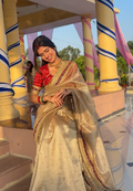 Beautiful Banarasi Semi Tissue Silk Saree with Premium Lace Work