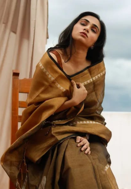 Earthy Bronze Pure Tissue Linen Saree with Contrast Borde