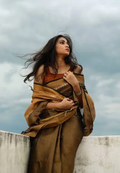 Earthy Bronze Pure Tissue Linen Saree with Contrast Borde