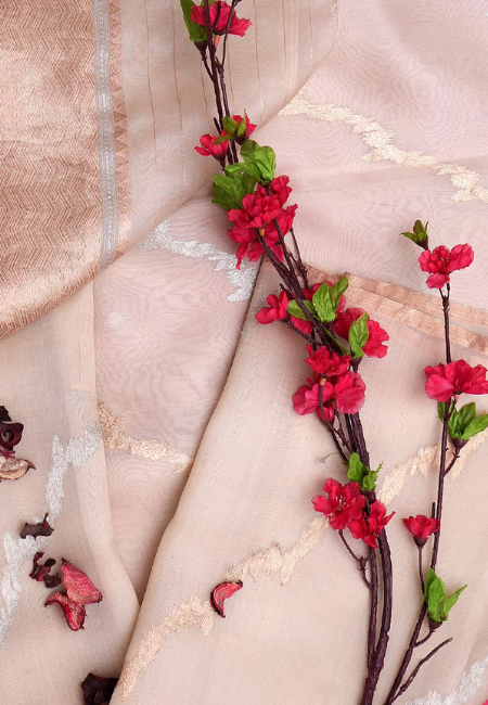 Women Saree- Peach