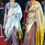 Pure Handloom PATTU SILK Multi Color Patli Pallu Saree